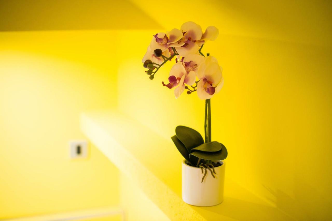 Apartment Jacobs Μπλεντ Εξωτερικό φωτογραφία